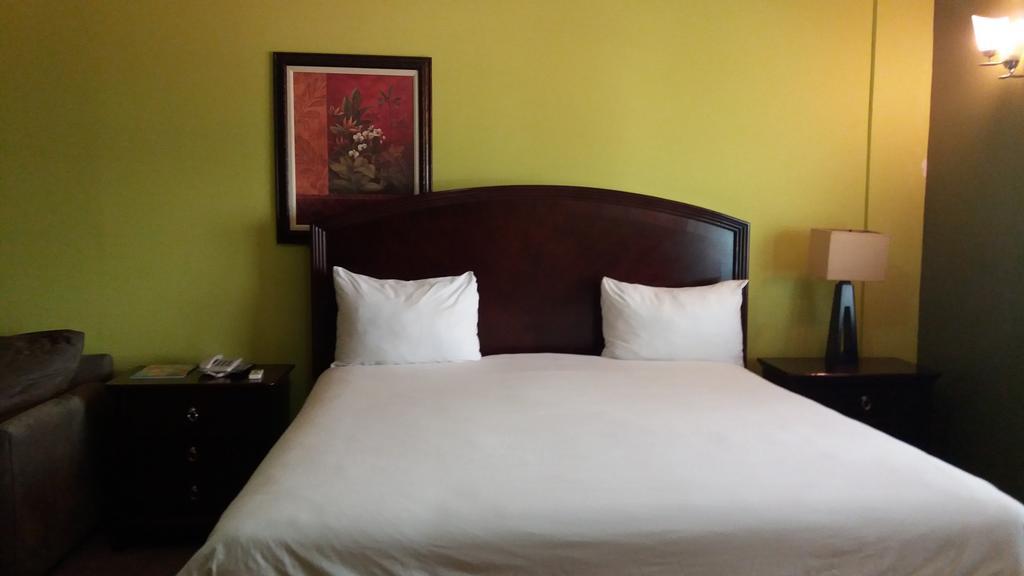 The Wexford Hotel مونتيغو باي المظهر الخارجي الصورة